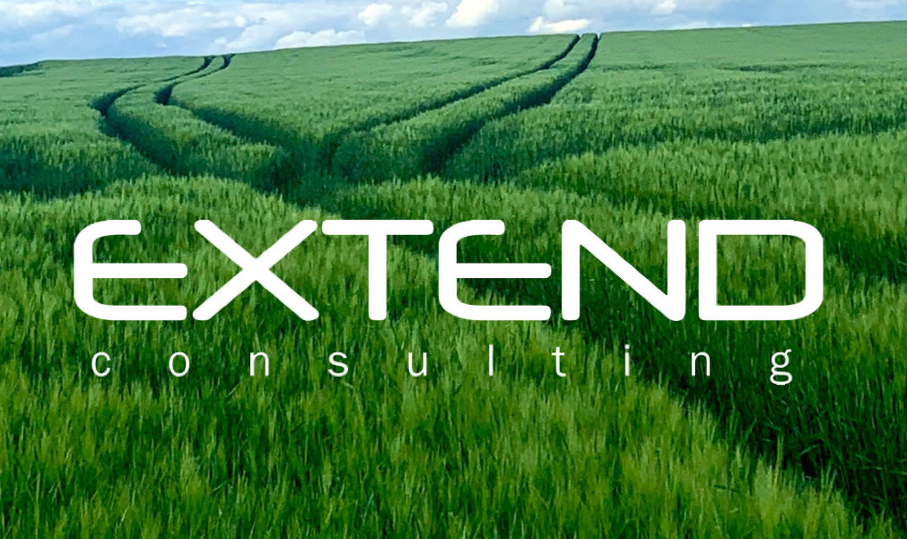 Extend Consulting